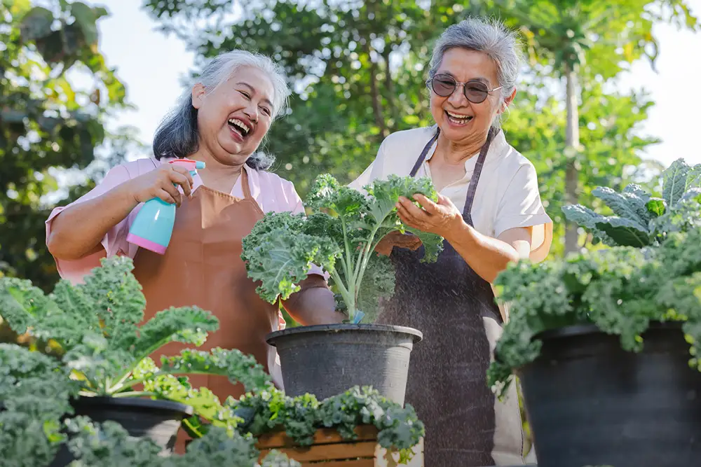 iStock-1944331735